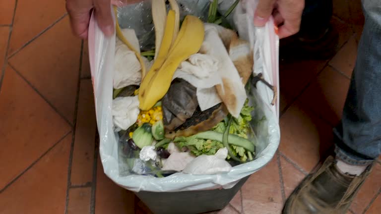 Best Carpet Removal and Disposal  in Angola, NY